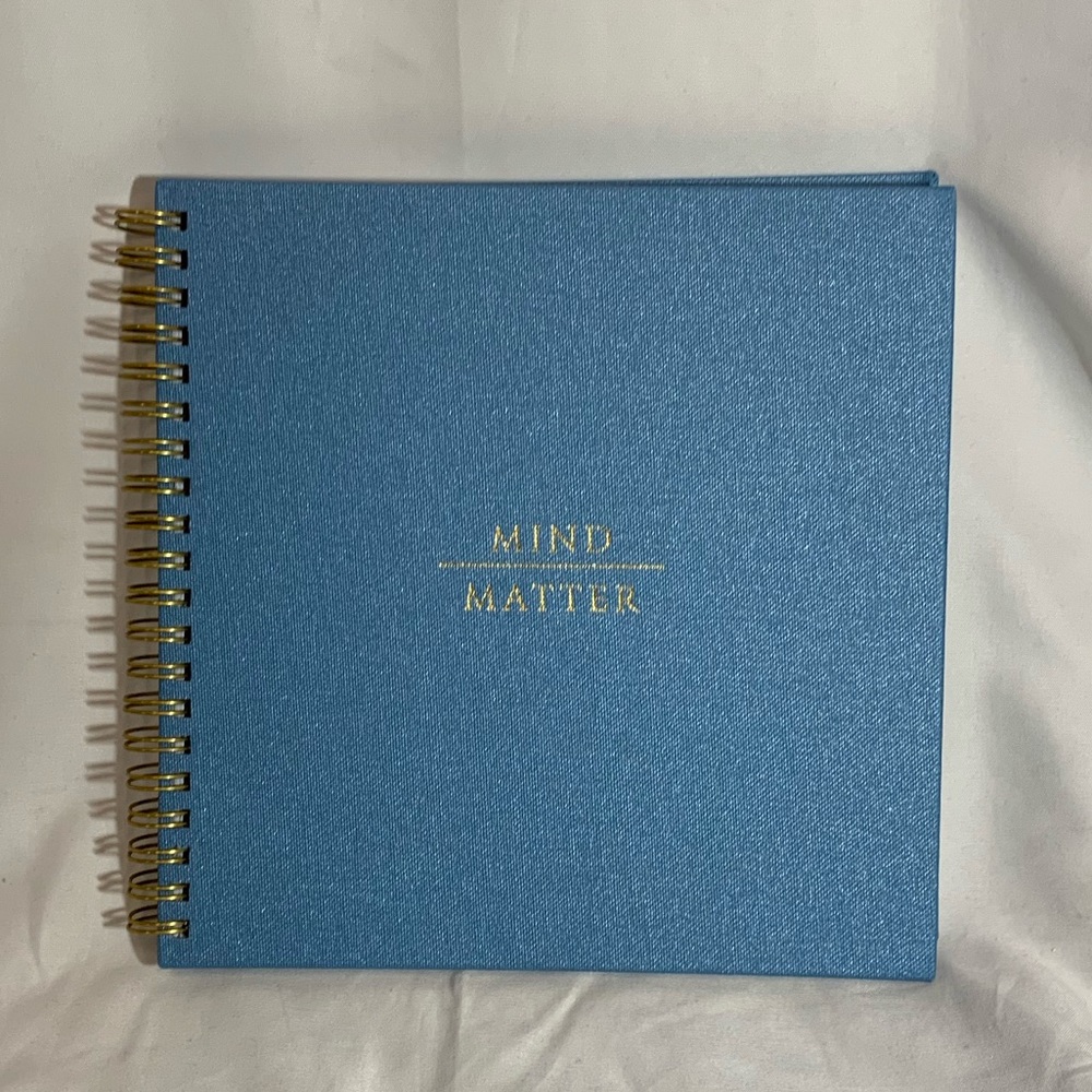 Mara MI 100 PAGE GOAL SETTING AGENDA